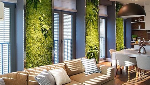 The Benefits of Living Green Walls